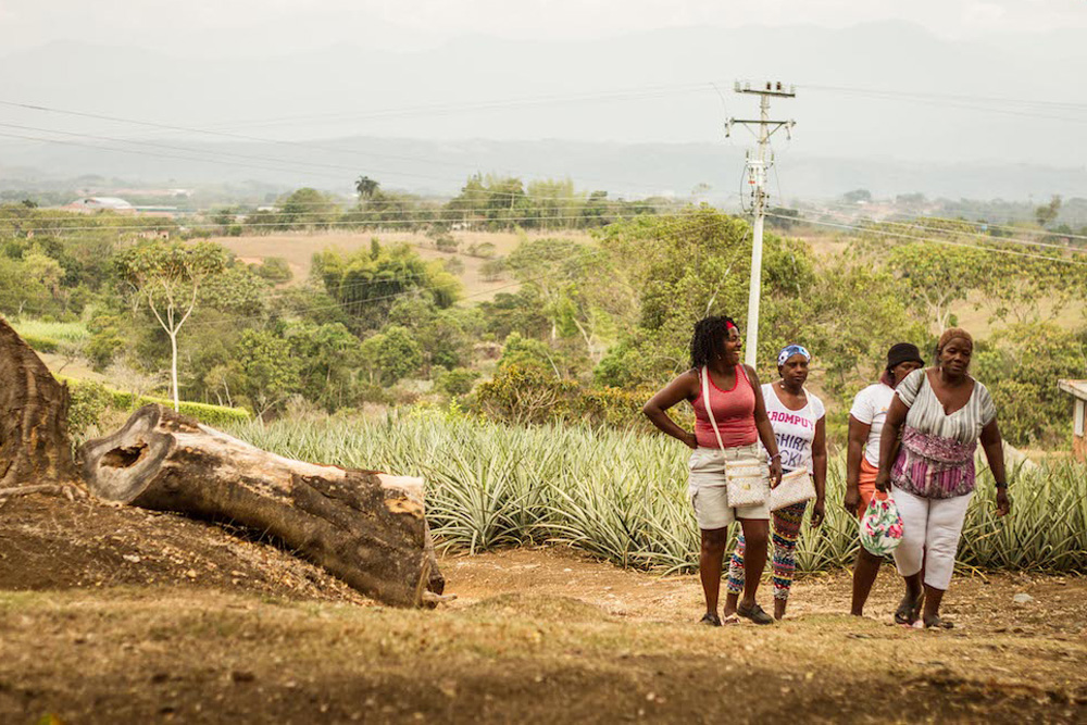 コロンビアのパイナップル農園で働く女性たち