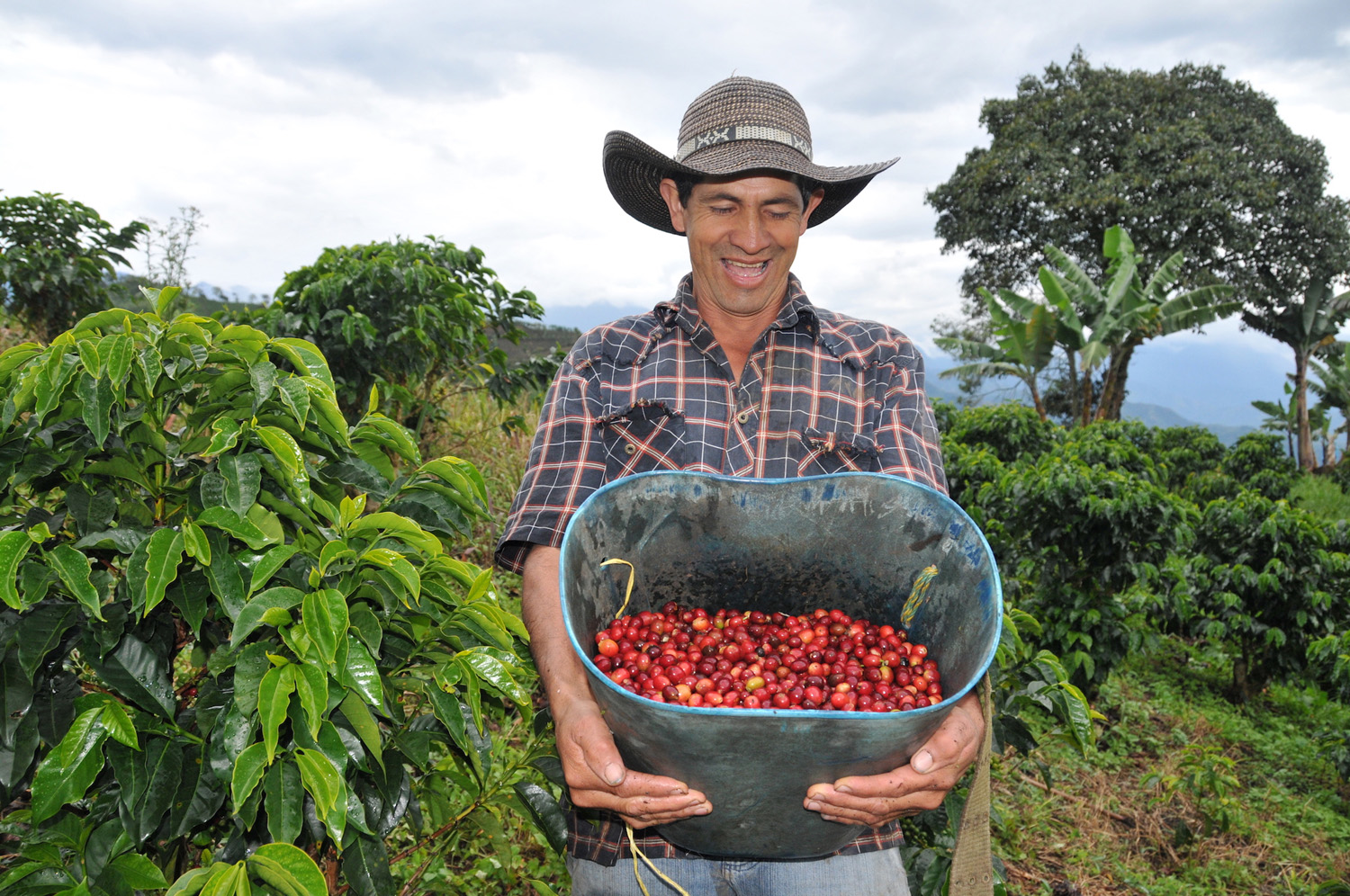 コロンビアのコーヒー農家